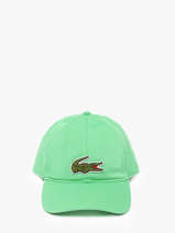 Pet Lacoste Groen accessoires RK318600