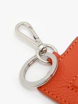 Sleutelhanger Leder Nathan baume Oranje original n 710N-vue-porte